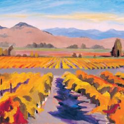 Vineyard valley